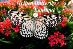  Striped Butterfly Boutique